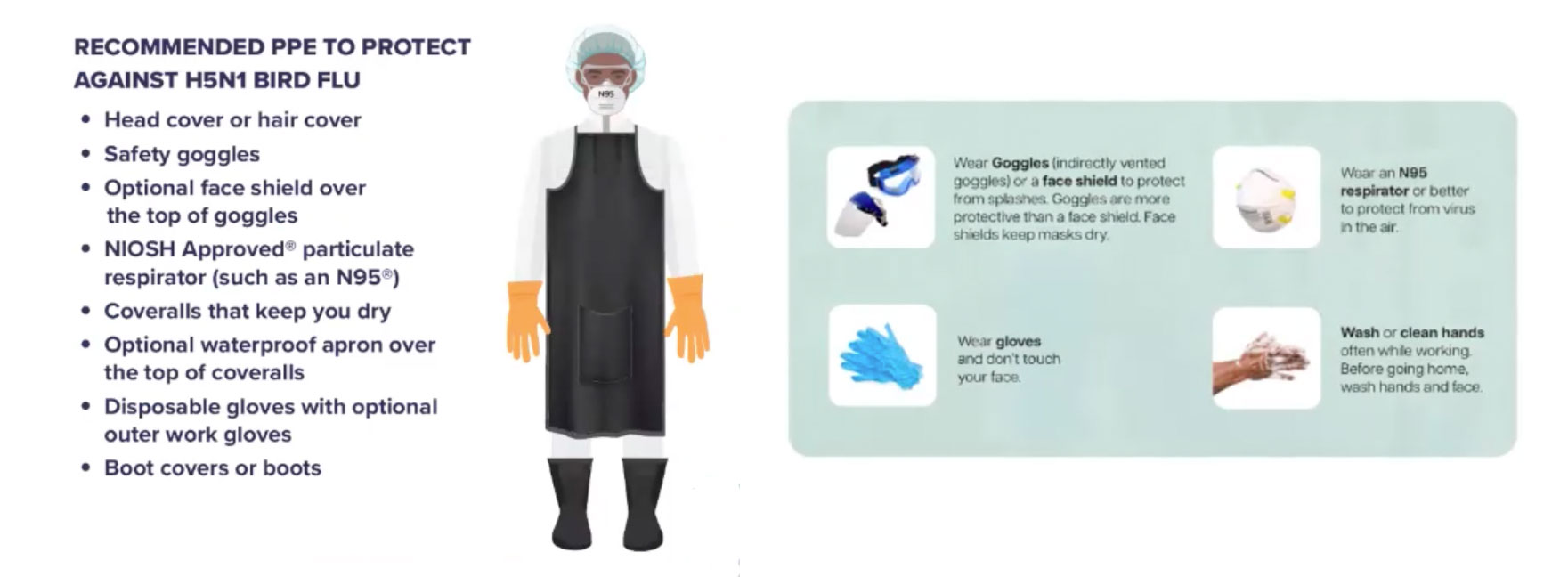 A diagram showing proper PPE for people who encounter sick or dead animals.