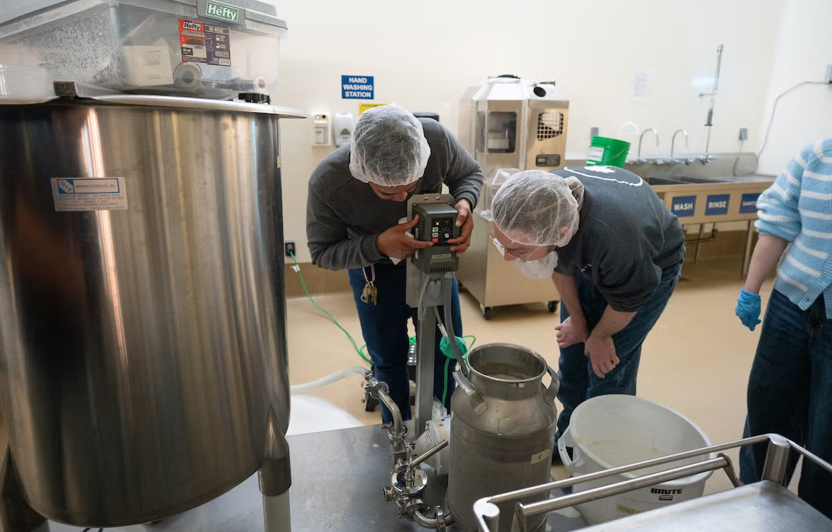 Two people in hairnets start an ice cream maker in a food processing facility