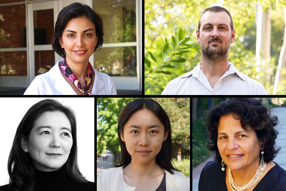 A collage of 5 UCLA professor headshots