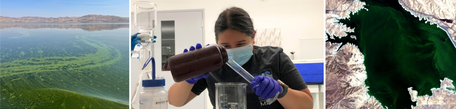 Three images in a collage: a view of a reservoir covered with toxic algae; a young woman wearing PPE in a lab; and an overhead view of a map showing a reservoir covered in green