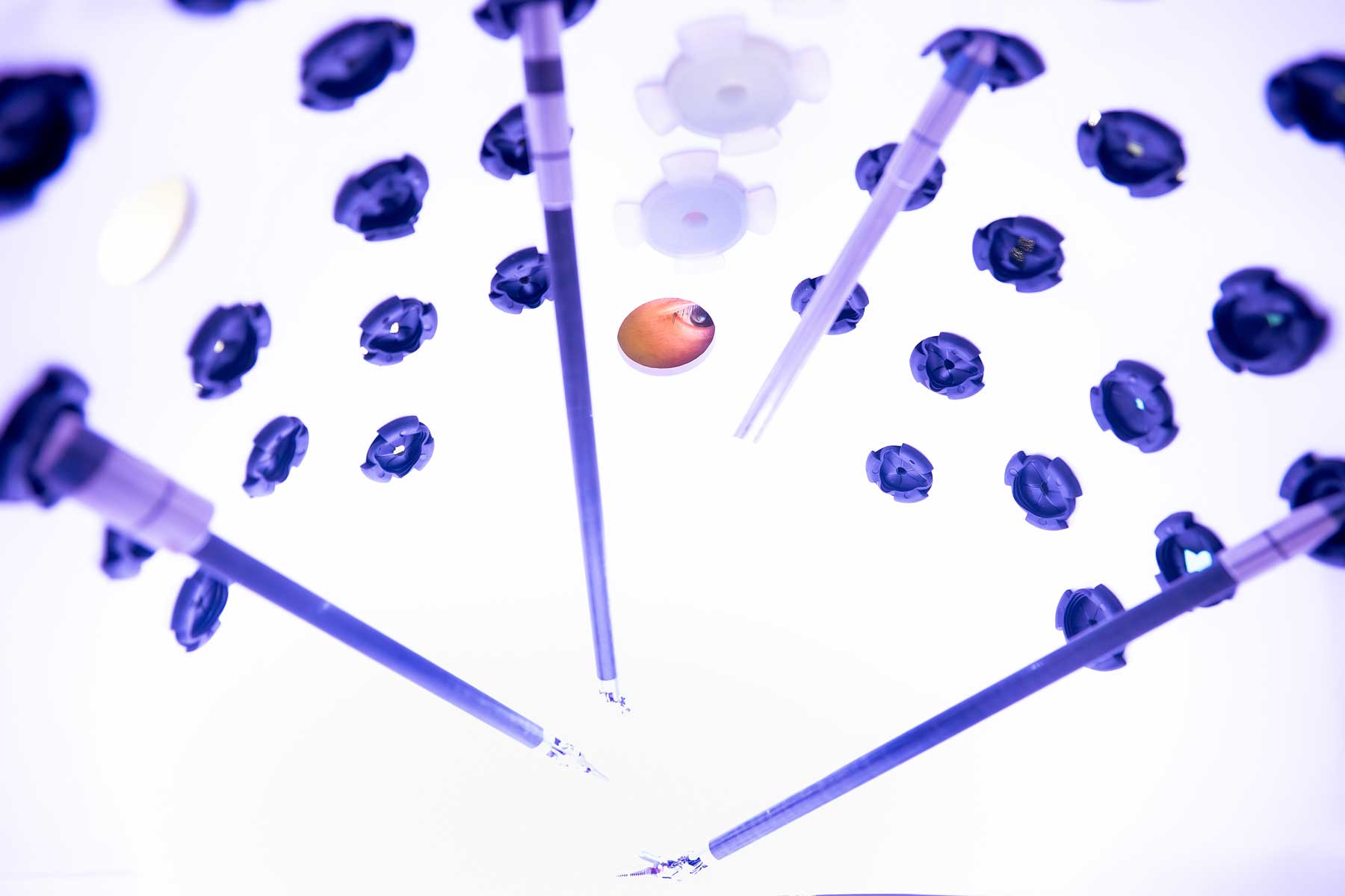 Inside a white dome studded with purple rubber valves. Four purple appendages poke through four of the valves. 