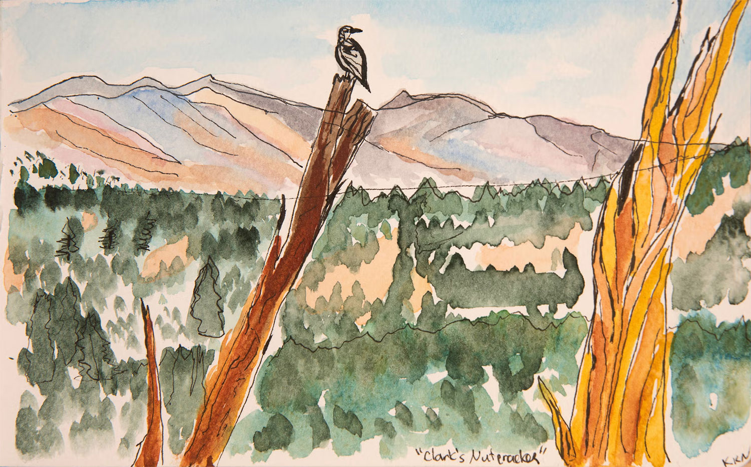 Ink and watercolor illustration of a bird sitting on a dead tree limb in front of a mountain vista with trees and peaks