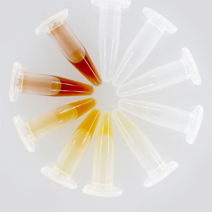 A circular arrangement of small plastic lab tubes containing liquids in varying shades from dark brown to light yellow to clear, showing a gradient of color intensity. The tubes are placed on a white surface with their caps facing outward.