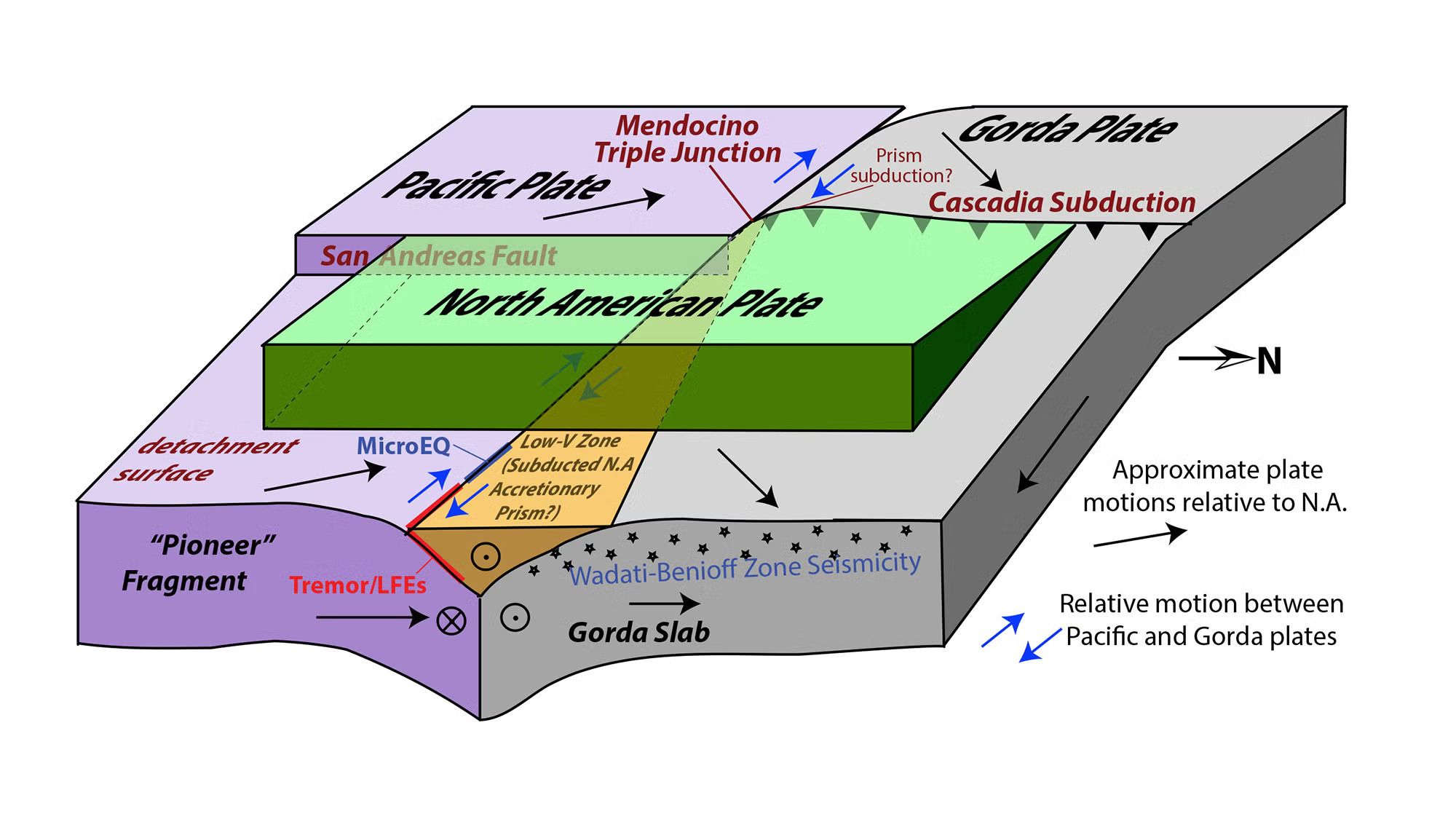 A proposed model of the Mendocino Triple Junction, showing on the left the Pacific Plate pressed agains the Gordo Plate on the right, with a piece called the Pioneer fragment being dragged under the North American plate by the Pacific Plate