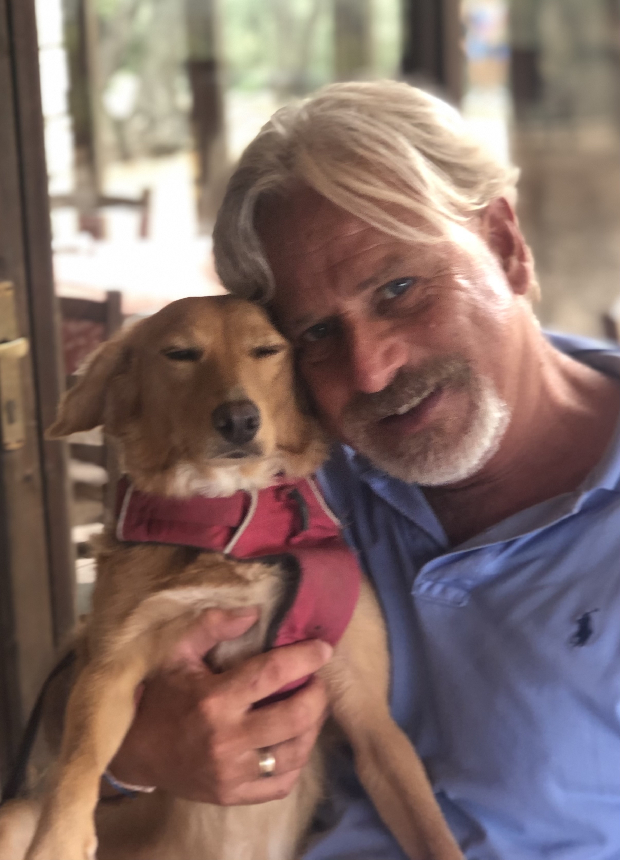 A man holds a young dog