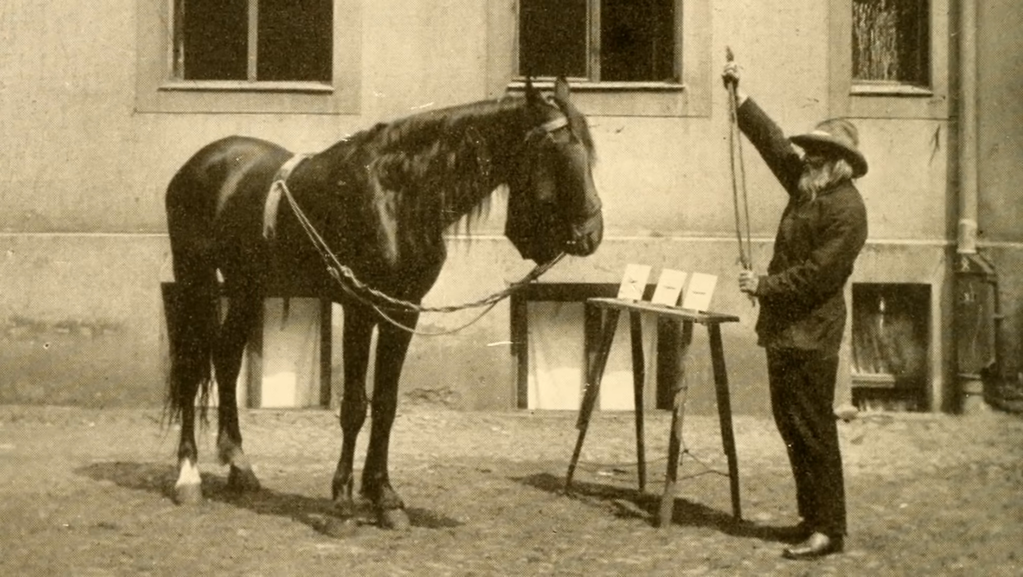 A horse stands next to a man extending a measuring tape in an old photo