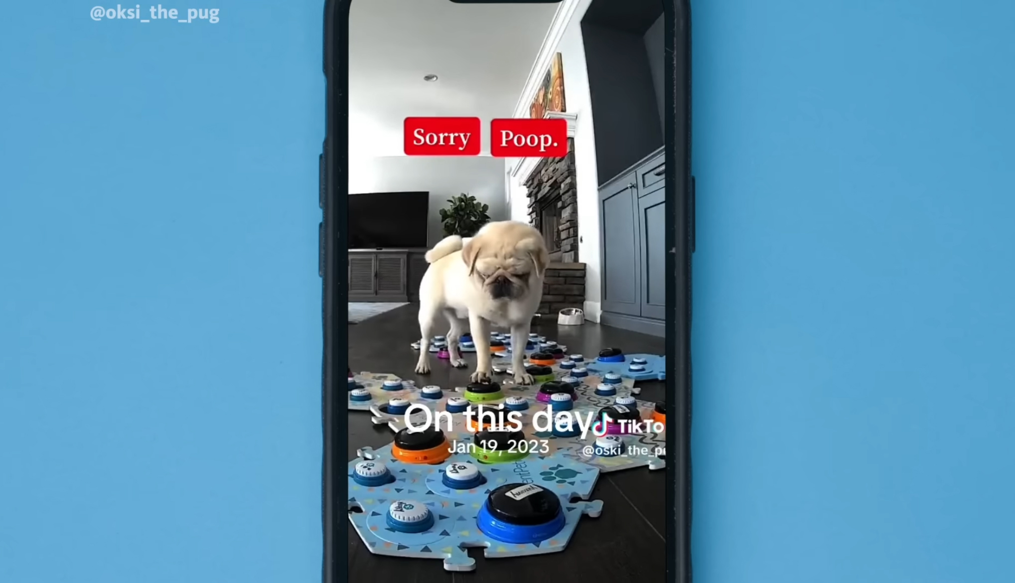 A pug looks down at a soundboard with a caption above saying Sorry Poop