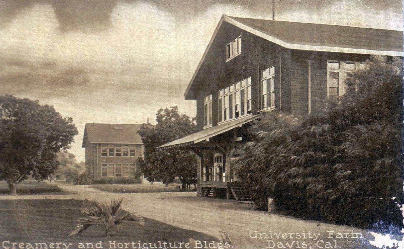 A black-and-white photo from the early 1900s of a lane and a farmhouse