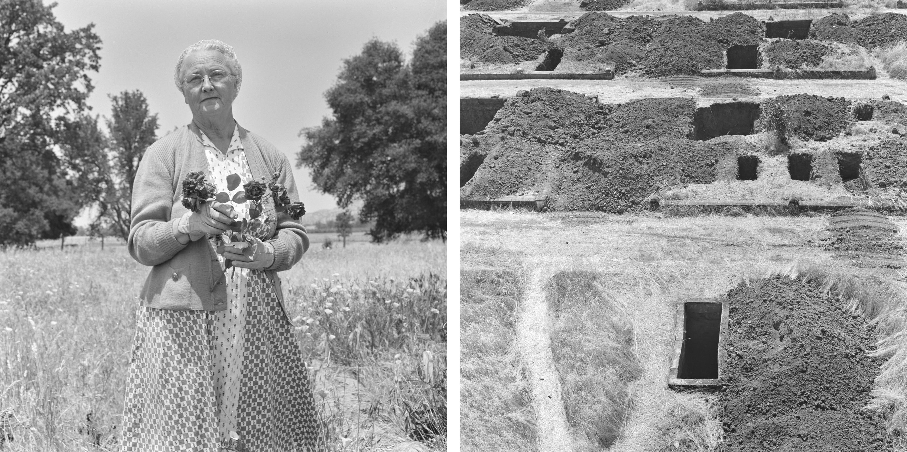 Black and white photographs of a woman standing in a field holding a small bouquet of roses and a cemetery where the graves have been dug up