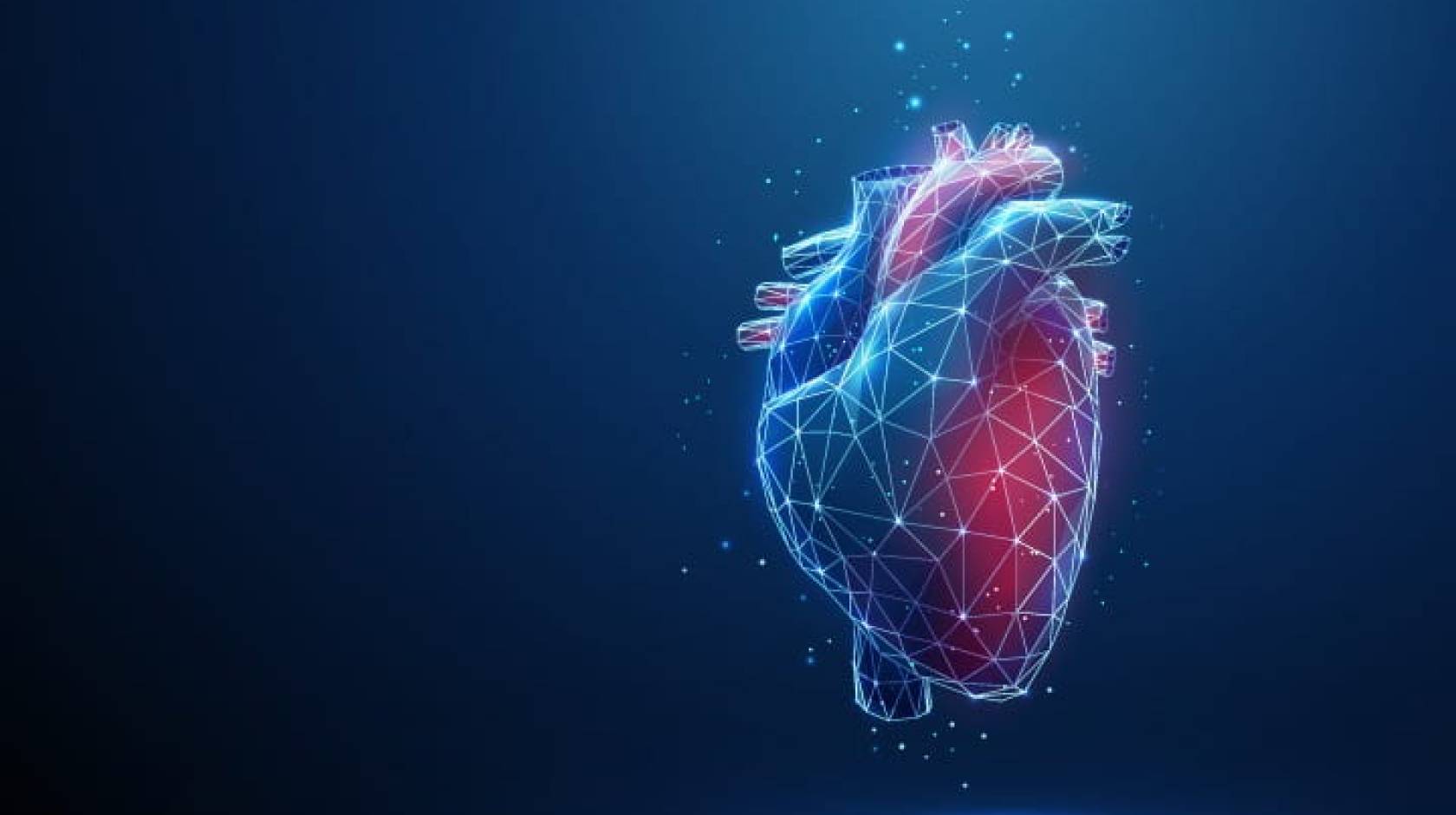 Illustration of a heart