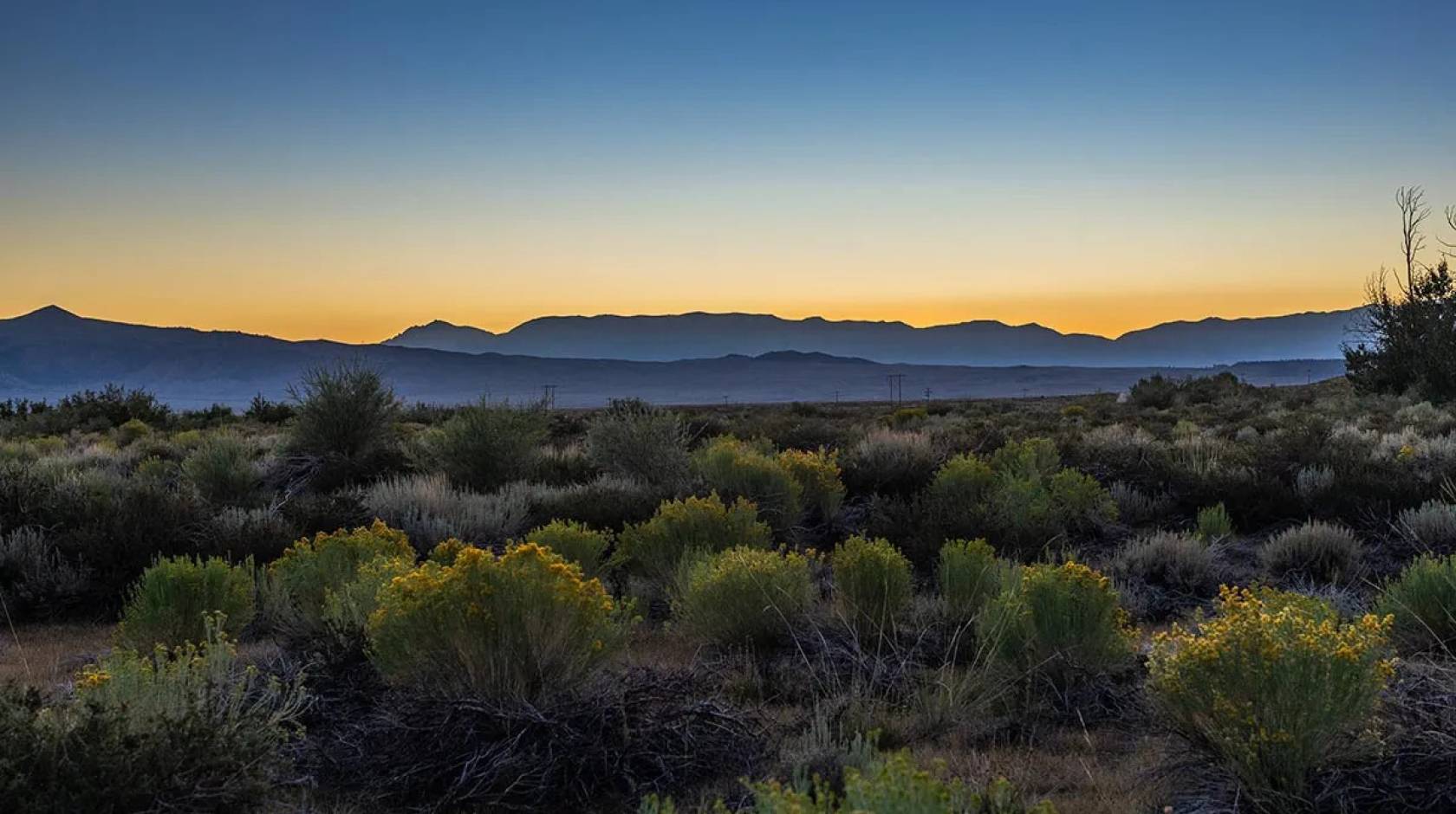 A view of a flat land dotted by flowers near mountains and the ocean at sunrise or sunset