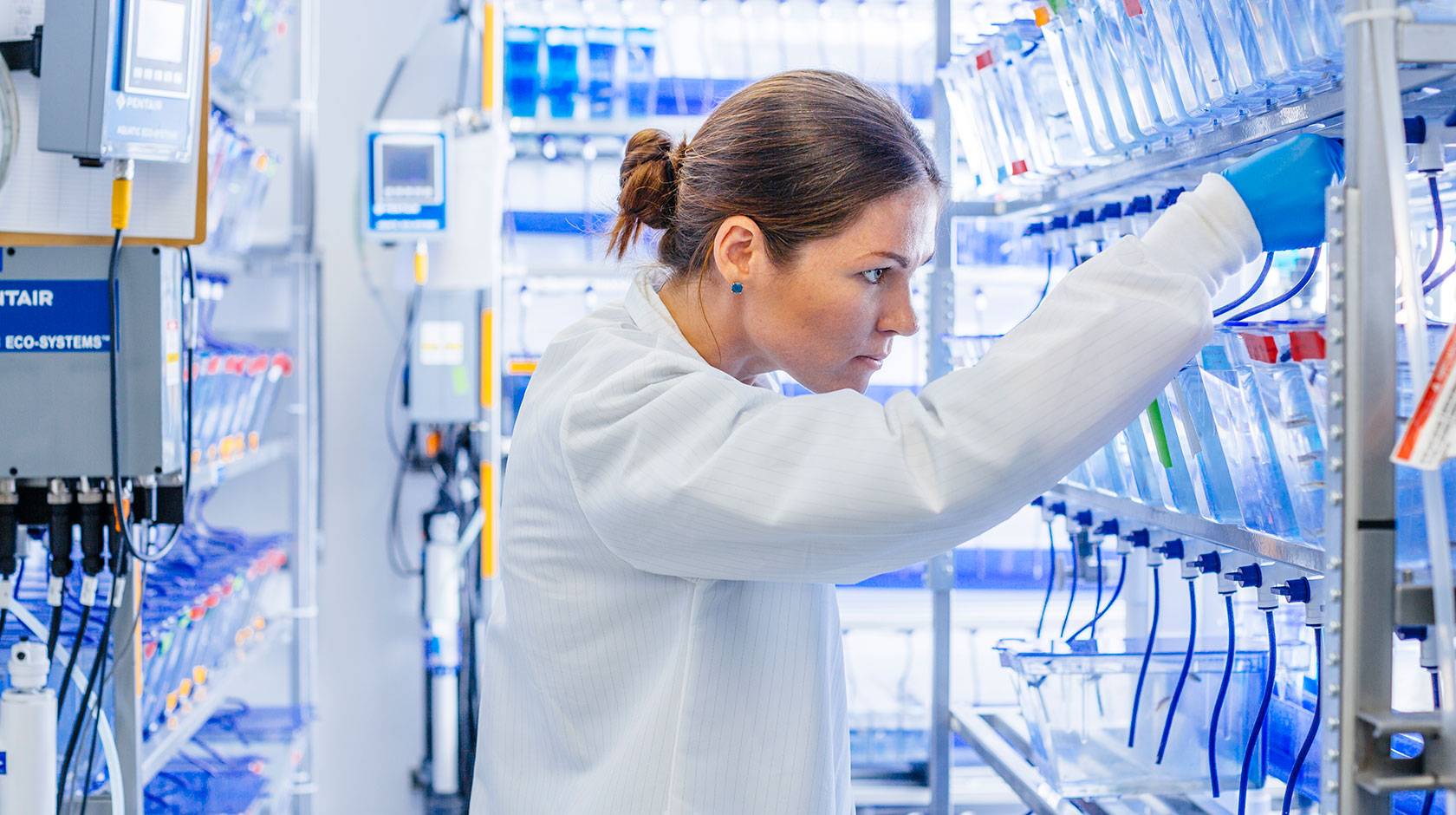 A scientist in a white lab coat looks at a rack of clear plastic tubs filled with water on a shelf in a laboratory.