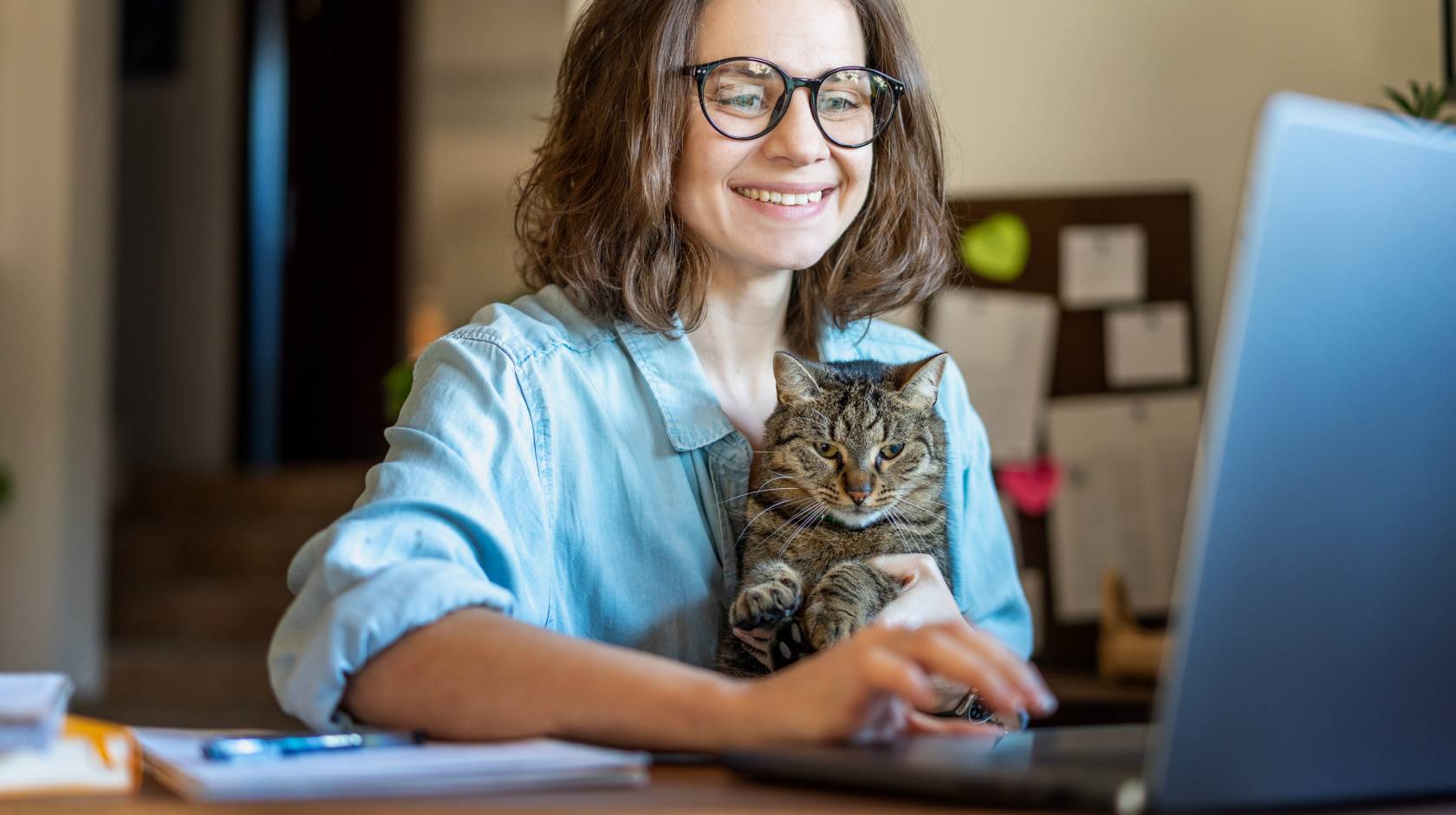 Happy young business woman with glasses working using laptop from home, sitting with pet cat in her arms