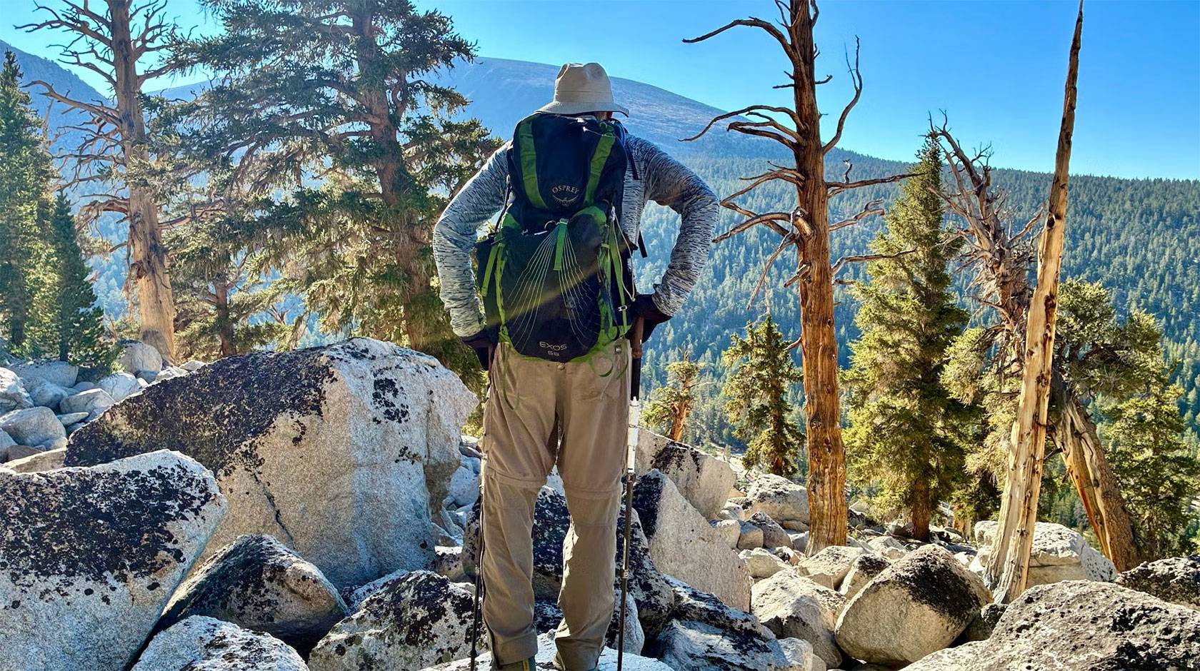 A man stands under bare trees looking out at a mountain landscape, photographed from behind
