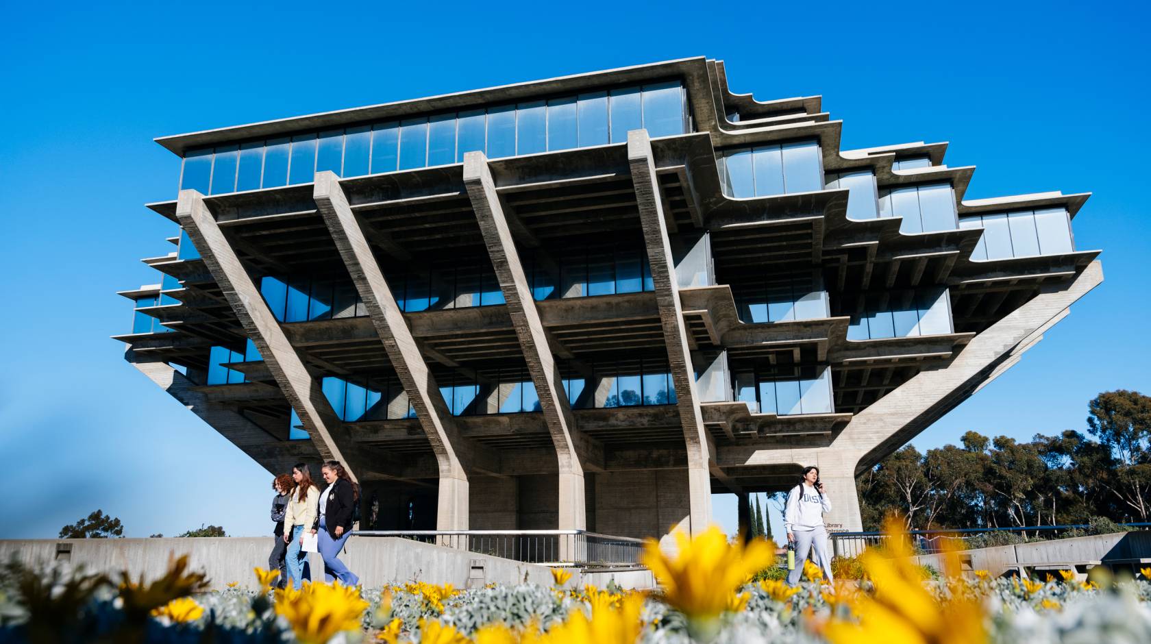 Geisel Library at UC San Diego with yellow flowers in the foreground