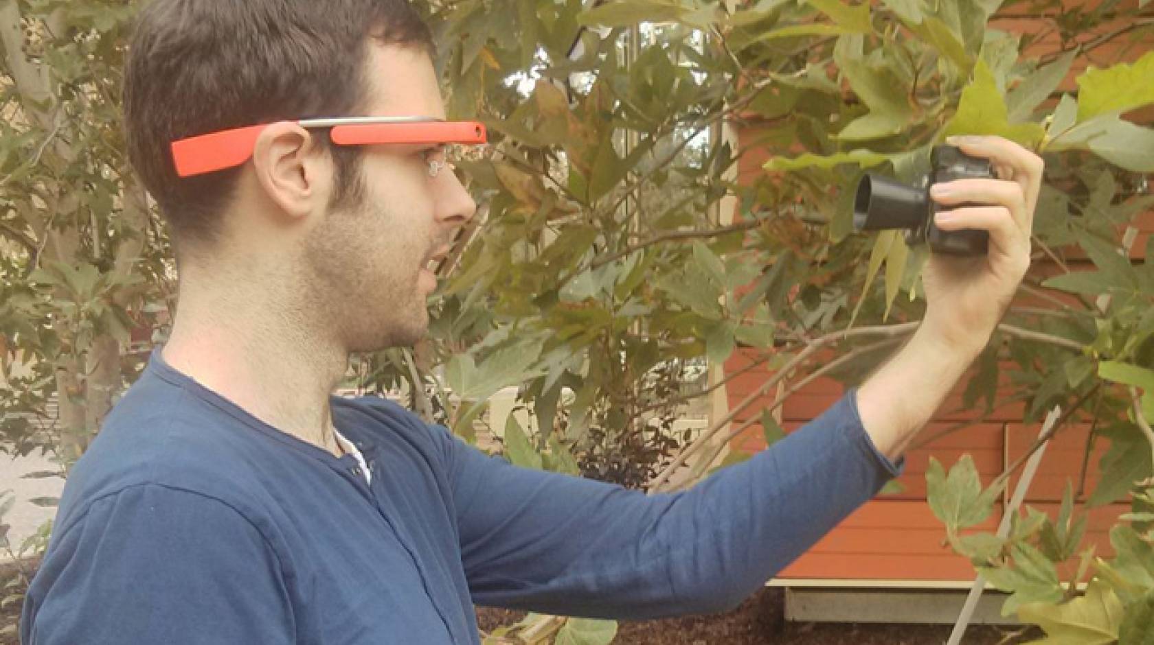 The Google Glass app and illuminator allow researchers unit to analyze chlorophyll concentration in a leaf without harming the plant.