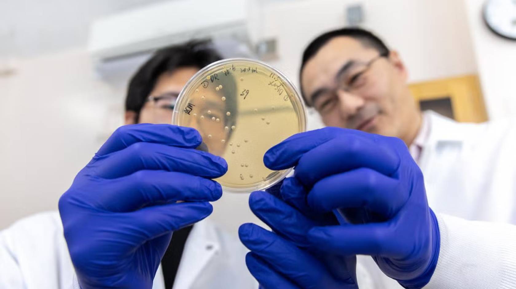 Two scientists wearing blue gloves hold up a petri dish to a camera