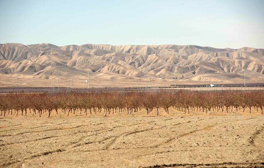 California drought has hit the Central Valley hard. 