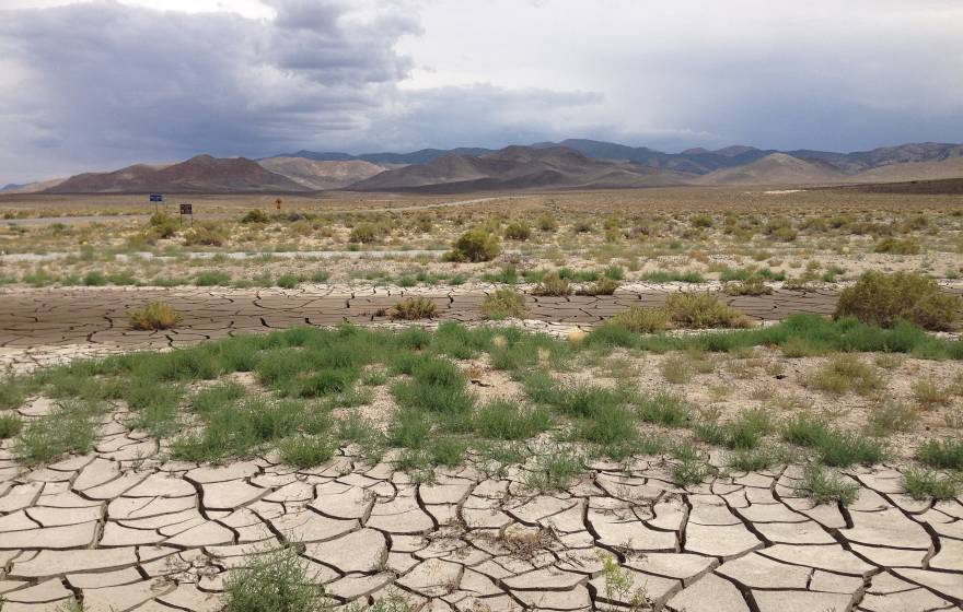 A parched Nevada landscape showing dry cracked earth