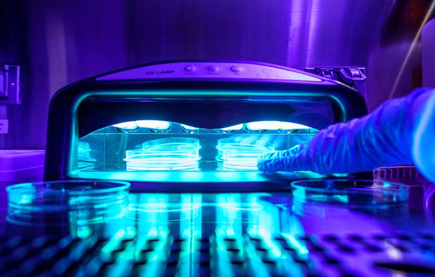 UV light-emitting devices and gloved hands conducting an experiment