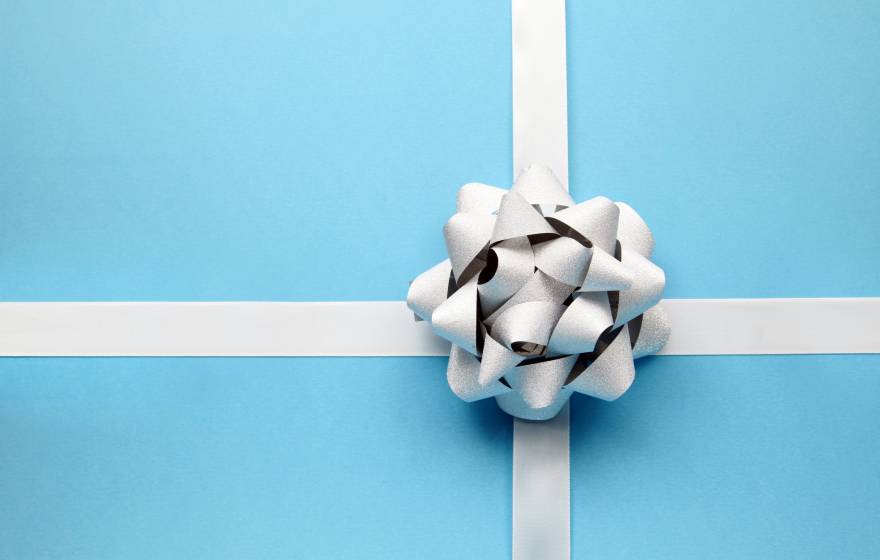 Blue present wrapping with a white bow