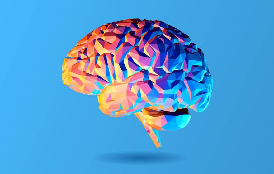 Brain illustration on blue background