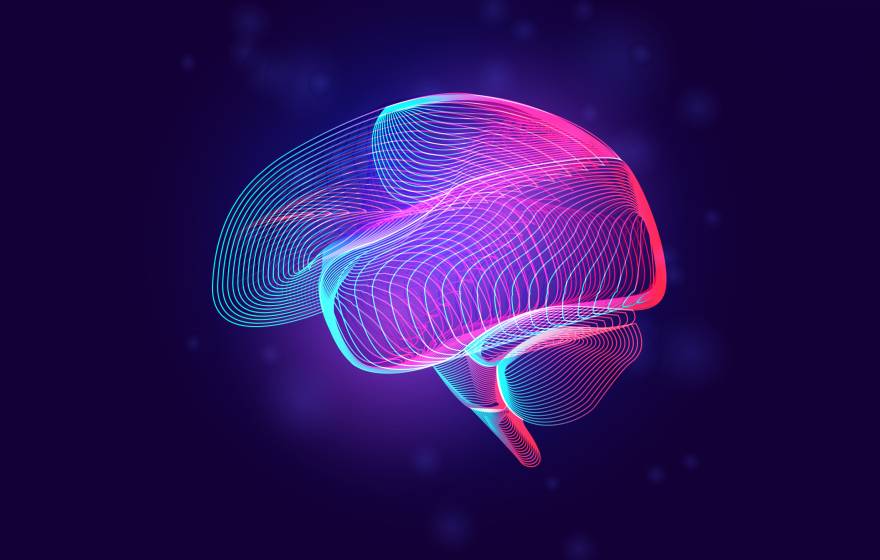 Brain illustration
