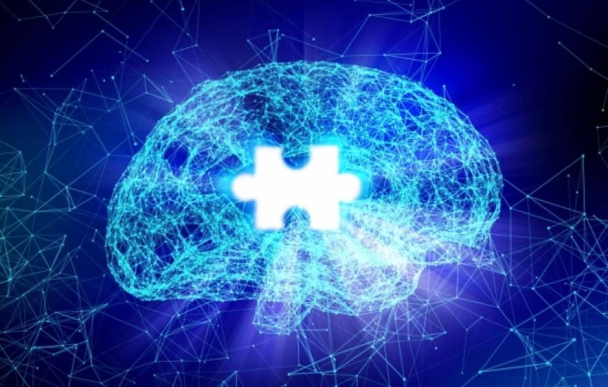 Puzzle piece in brain