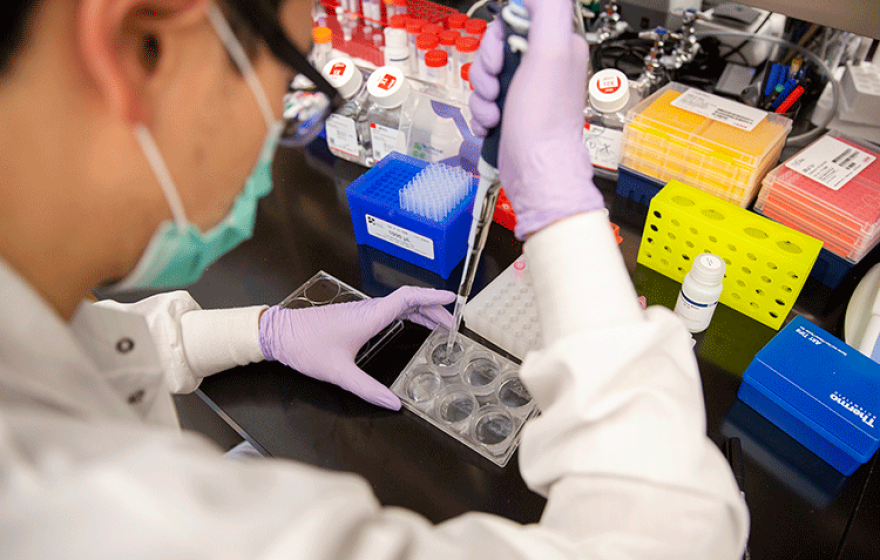 Researcher using a pipette