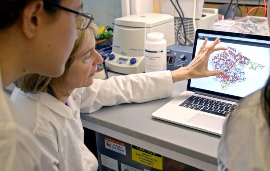 A woman doctor in a lab coat shows a male student a molecule on a computer