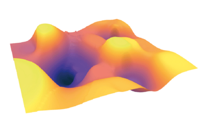 Image of brain landscape