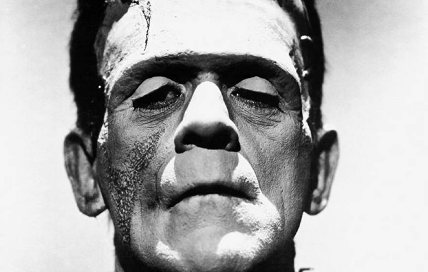UC Santa Barbara Frankenstein