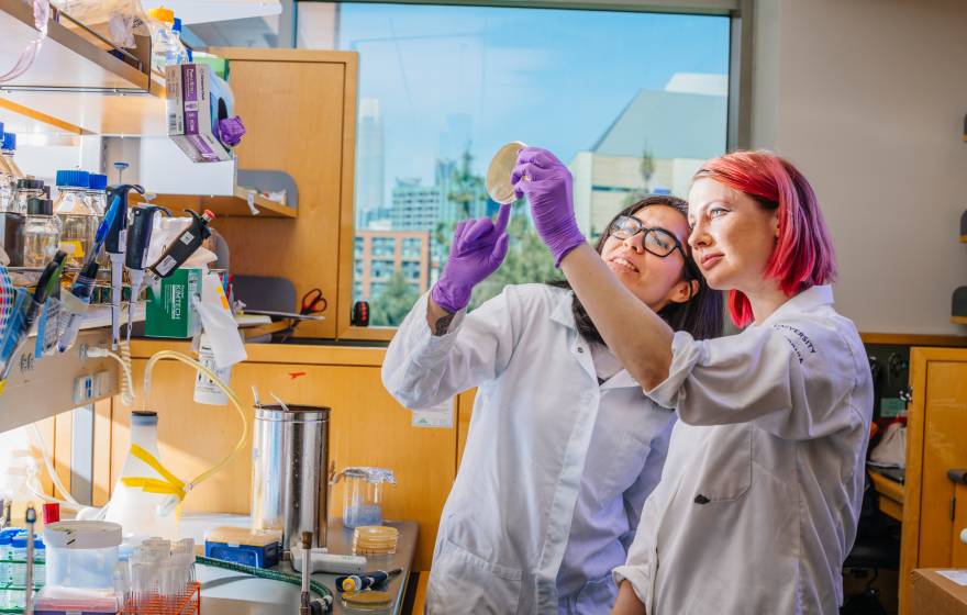 Two female students, one with pink hair, hold up a petri dish in a lab