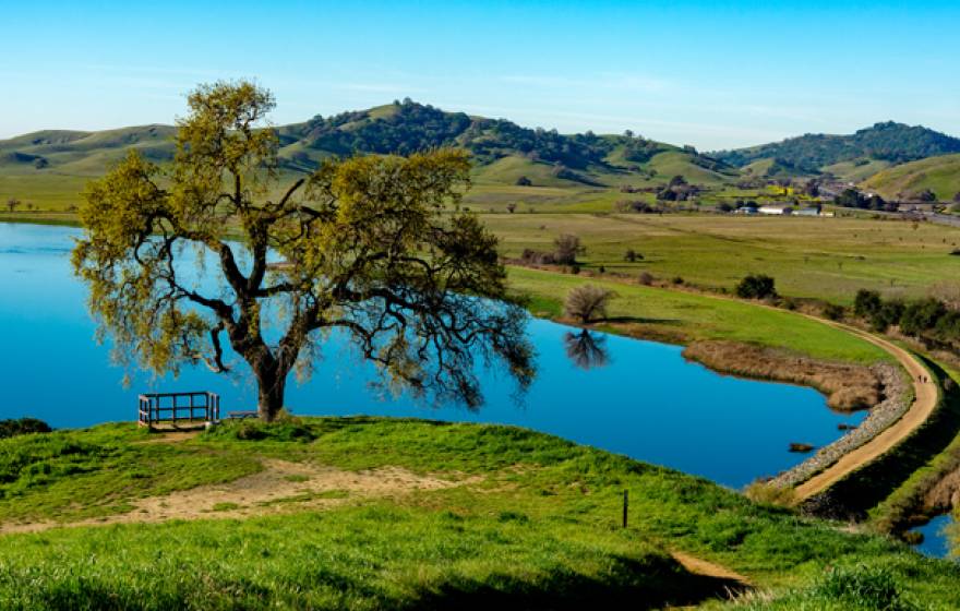 Lagoon lake with road in spring