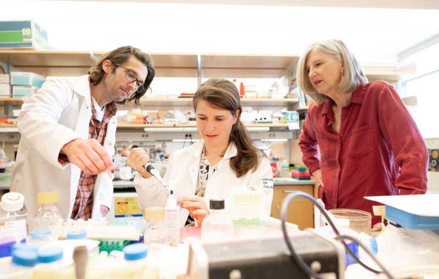 researchers in a lab