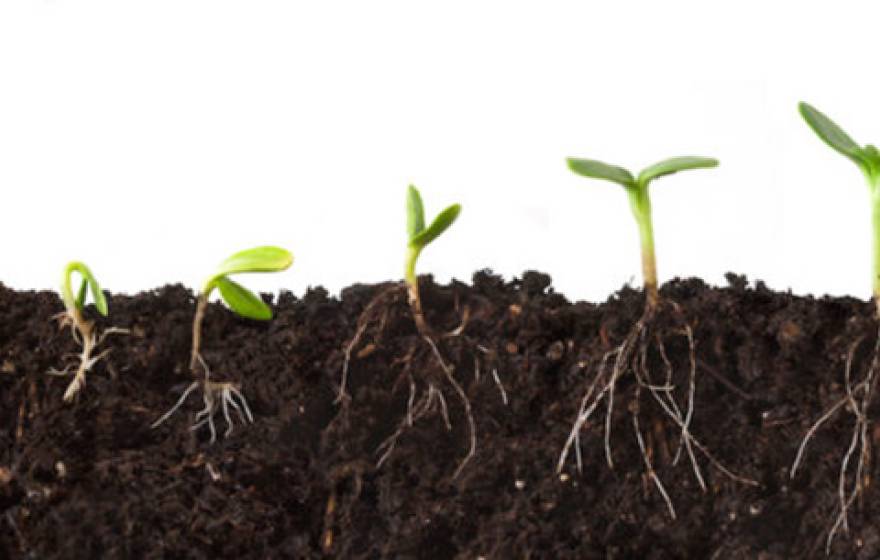 Two Berkeley Lab projects to “see” into the soil. 