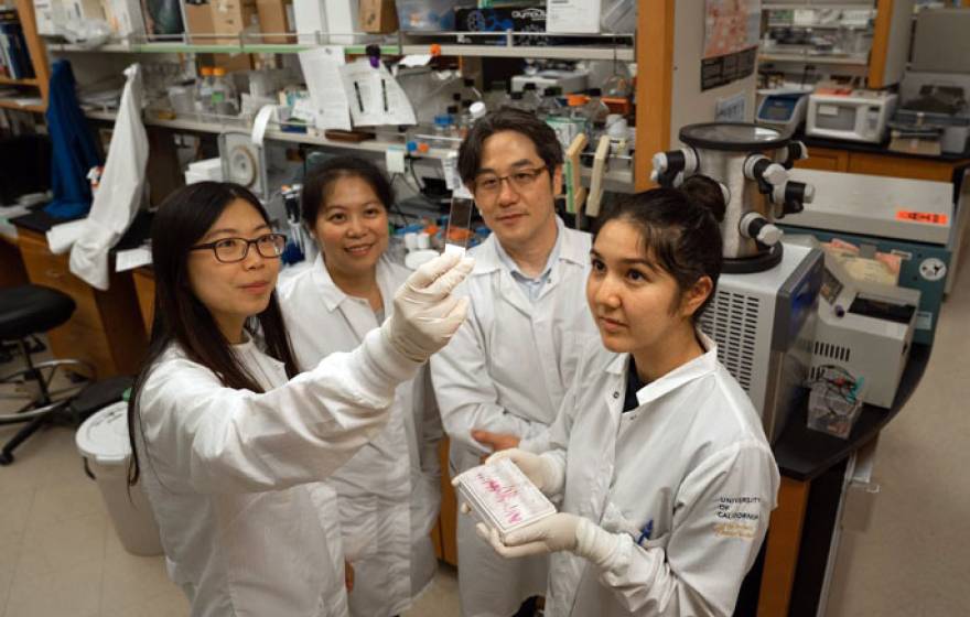 Kamata's team in the lab