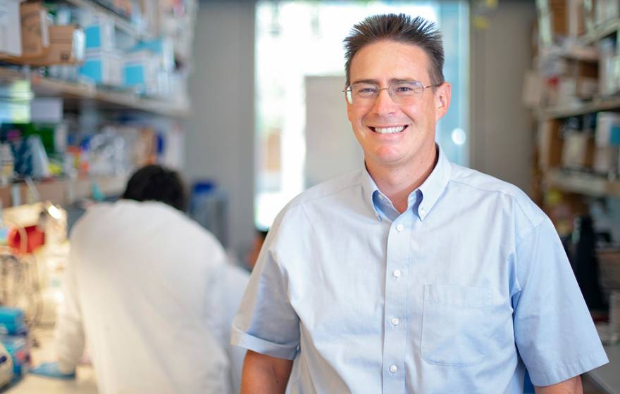 Rob Knight in his lab