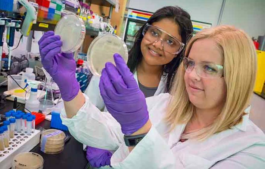 Aindrila Mukhopadhyay and Heather Jensen