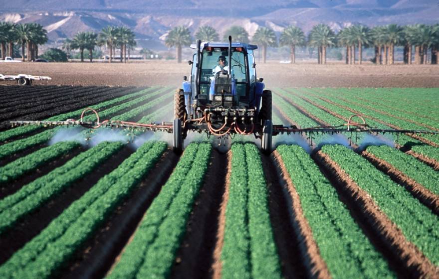 Man in tractor spraying crops in a field
