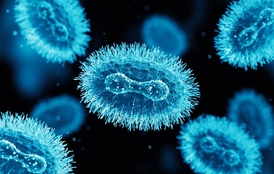 Monkeypox virus microscope slide rendering