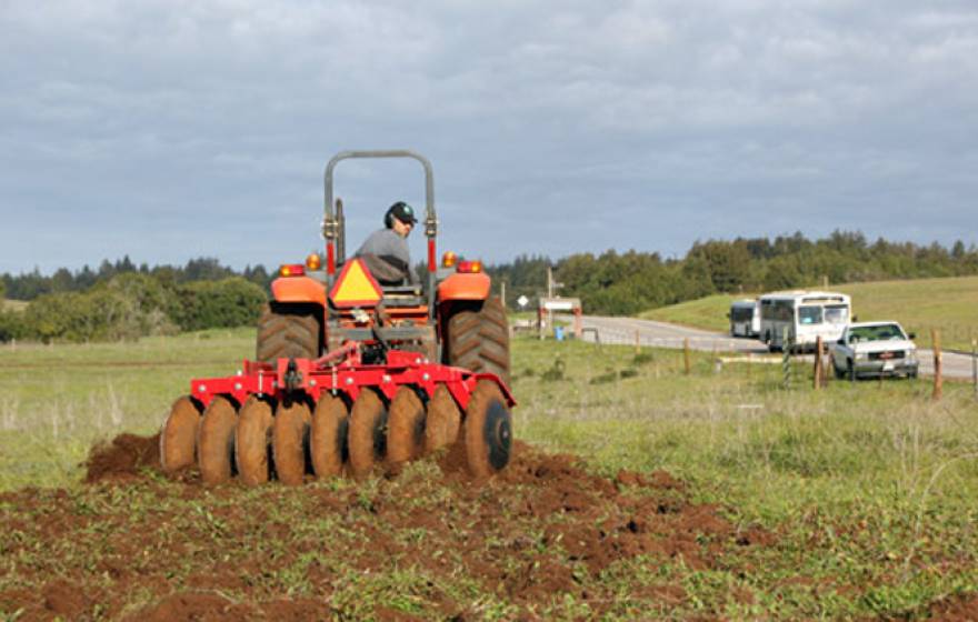 Darryl Wong, UCSC farm site and research lands manager, tills the new three-acre Quarry Field in anticipation of planting wheat before the rains. 
