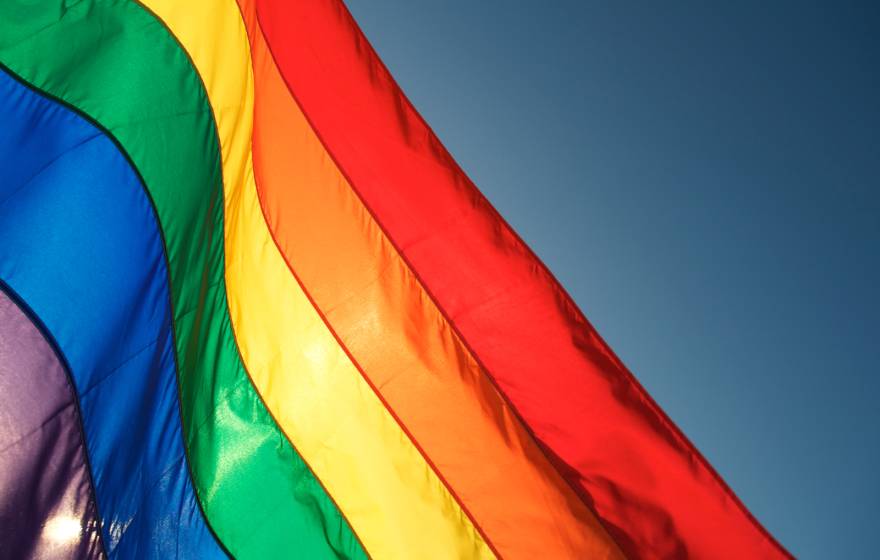 Rainbow flag, Pride flag