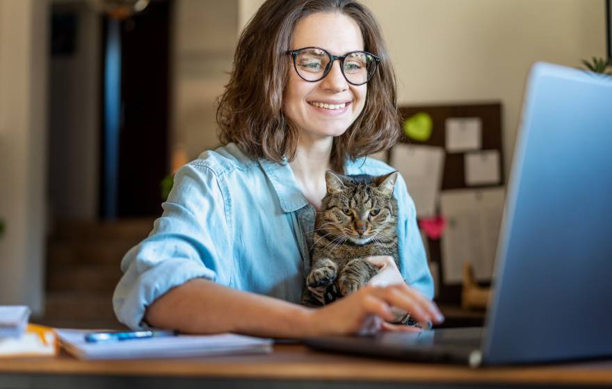 Happy young business woman with glasses working using laptop from home, sitting with pet cat in her arms