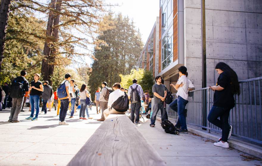 Students gather outside on a sunny day among the redwoods at UC Santa Cruz