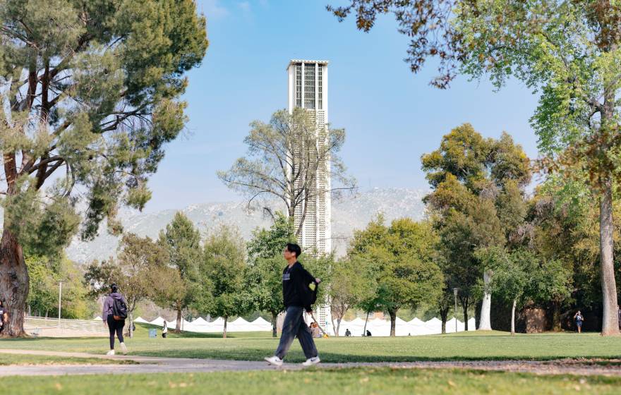 UC Riverside campus on a sunny day, tower in the background