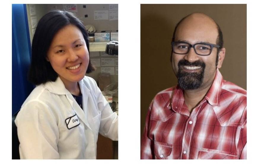 Two separate headshots in one collage image: Sunil Ghandi, pictured here with study co-author Carey Huh on the left