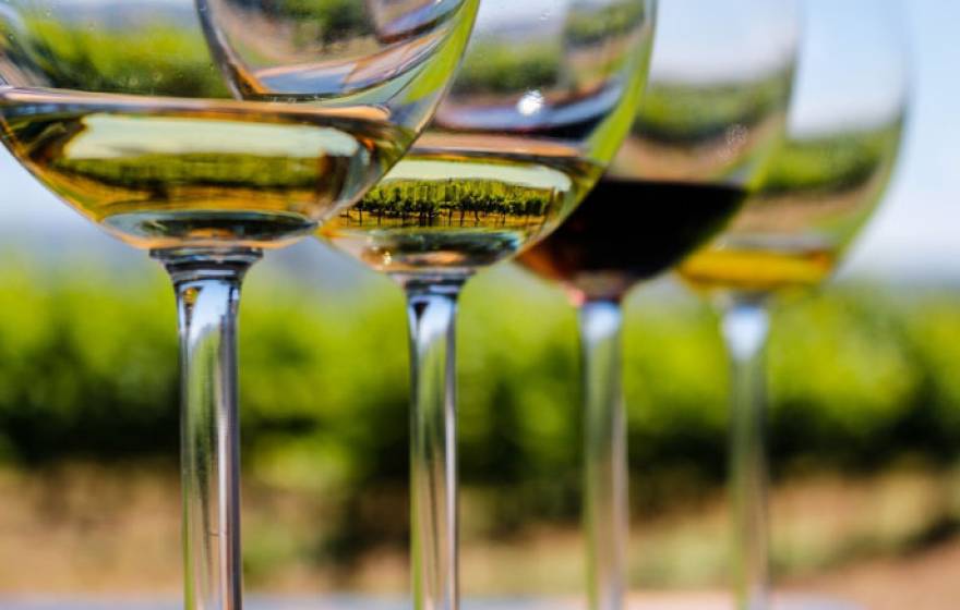 UCLA organic grapes wine