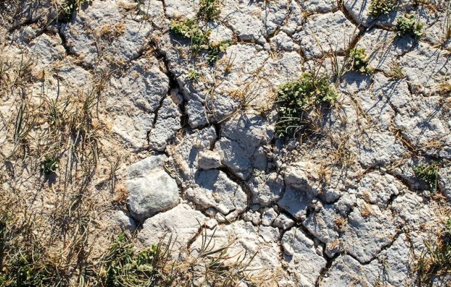 Dry, cracked earth