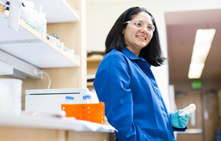 Clarissa Nobile is UC Merced's first Pew biomedical scholar